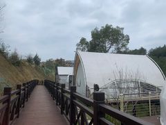 -汇雅温泉