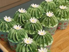 -吉林大学(前卫南校区)