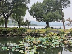 -杭州西湖柳莺里酒店·闻莺厅