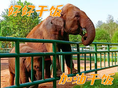 -秦皇岛野生动物园
