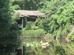 -九龙潭景区