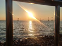 -宝安西湾红树林湿地公园