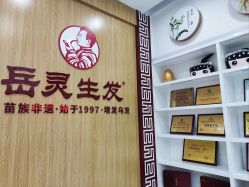 -岳灵生发养发馆