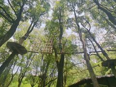 -WeLope紫金山探险公园