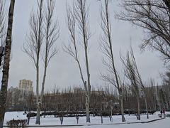-黑龙江大学
