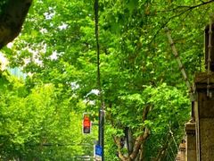 -鸡鸣汤包(红山动物园店)