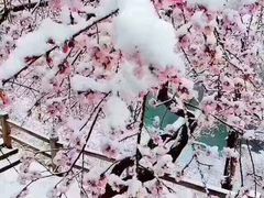 -老字号·阿里巴巴特色牦牛肉汤锅