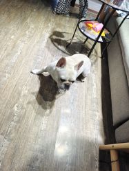 -IDEA·艾蒂尔科技美肤·日式美甲美睫集合店