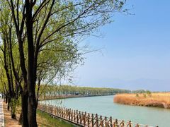 -野鸭湖国家湿地公园