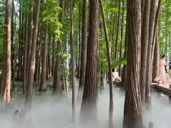 -东湖落雁景区