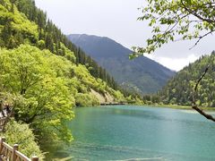 -黄龙山原始森林景区