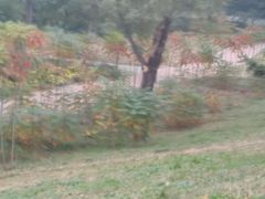 -达活泉公园