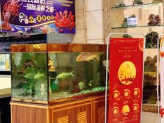 门面-渔民新村(番禺总店)