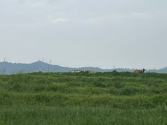 -光明小镇欢乐田园