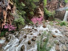 -湖洞水自然风景区