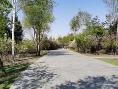 -群力丁香公园