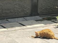 -开福禅寺