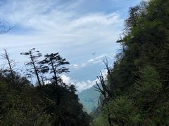 -峨眉山风景名胜区