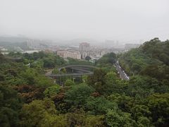 -福道