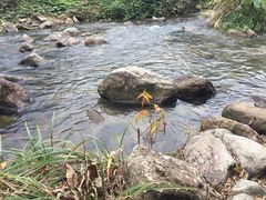 -千泷沟大瀑布旅游区