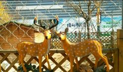 -萌宠亲子动物乐园(槐房万达店)