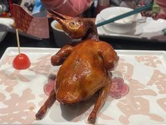 生炸红烧鸽-大鸽饭(北京路店)