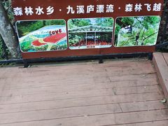 -龙岩森林水乡景区
