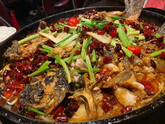 -老板恋上鱼(高新万达店)