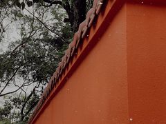 -金鸡山公园