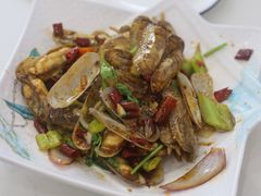 辣炒蛏子-常家活海鲜小吃(仅一家无分店)