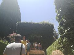 -阿尔罕布拉宫