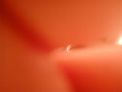 -风致肯麦基(忠信店)