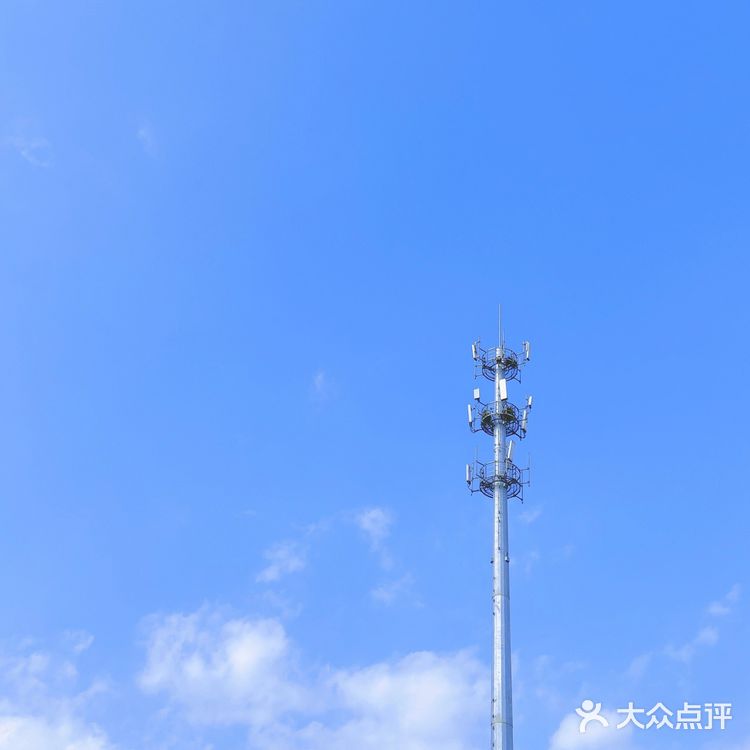 杭州“小镰仓”日系小众拍照地🚢感受2元坐船的快乐