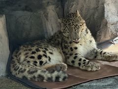 -青藏高原野生动物园