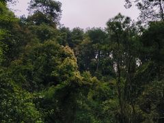 -三门江国家森林公园