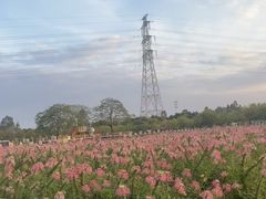 -盈香心动乐园