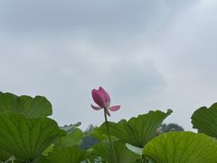 -郭守敬纪念馆