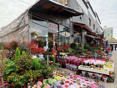 -平吉花卉市场