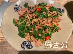 -缘生态云南菜·野生菌庭院餐厅(华侨城店)
