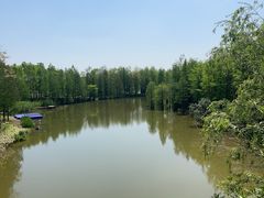 -上海长兴岛郊野公园