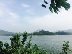 -望湖烤鱼