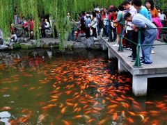 -西湖外事游船(花港观鱼码头)