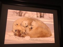 -罗红摄影艺术馆