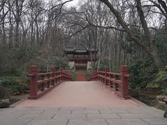 -紫霞湖公园