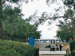 -广东惠东海龟国家级自然保护区