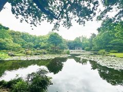 -杭州植物园