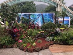 -南山植物园