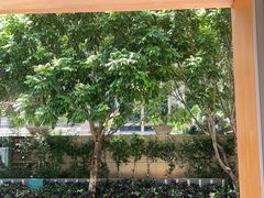-The PEAT Coffee(深业中城店)