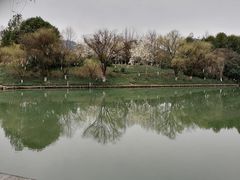 -中国湿地博物馆