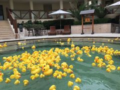 -苏州湾王焰温泉度假酒店